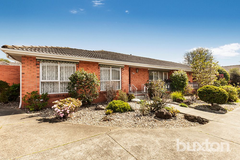 3/1 Edinburgh St, Hampton, VIC 3188