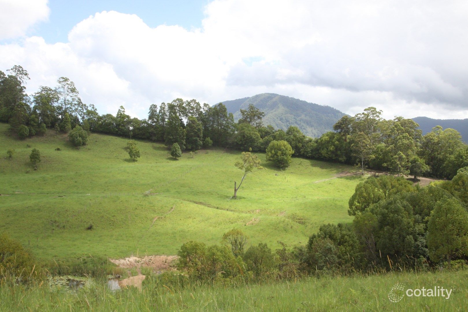 29 Blade Rd, Nimbin, NSW 2480