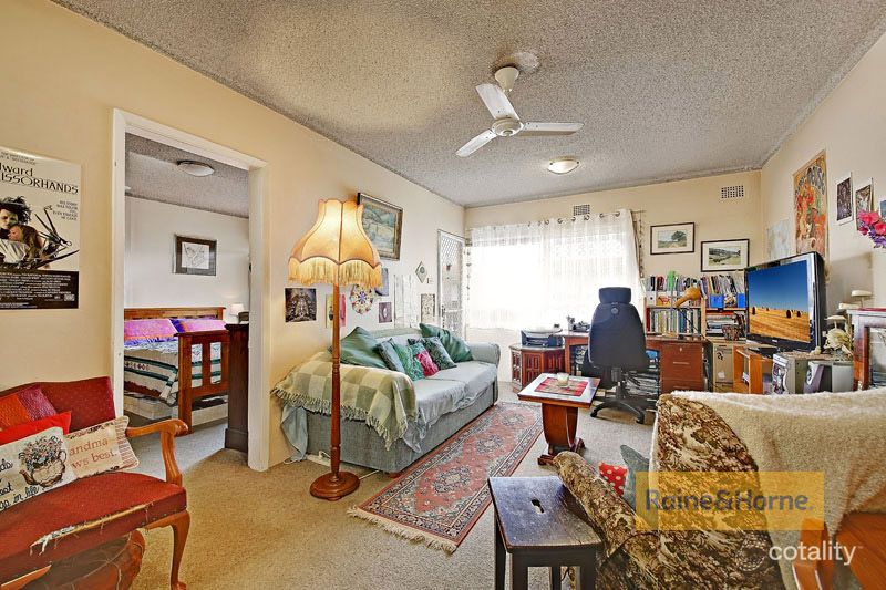 41/8 Brunswick Pde, Ashfield, NSW 2131