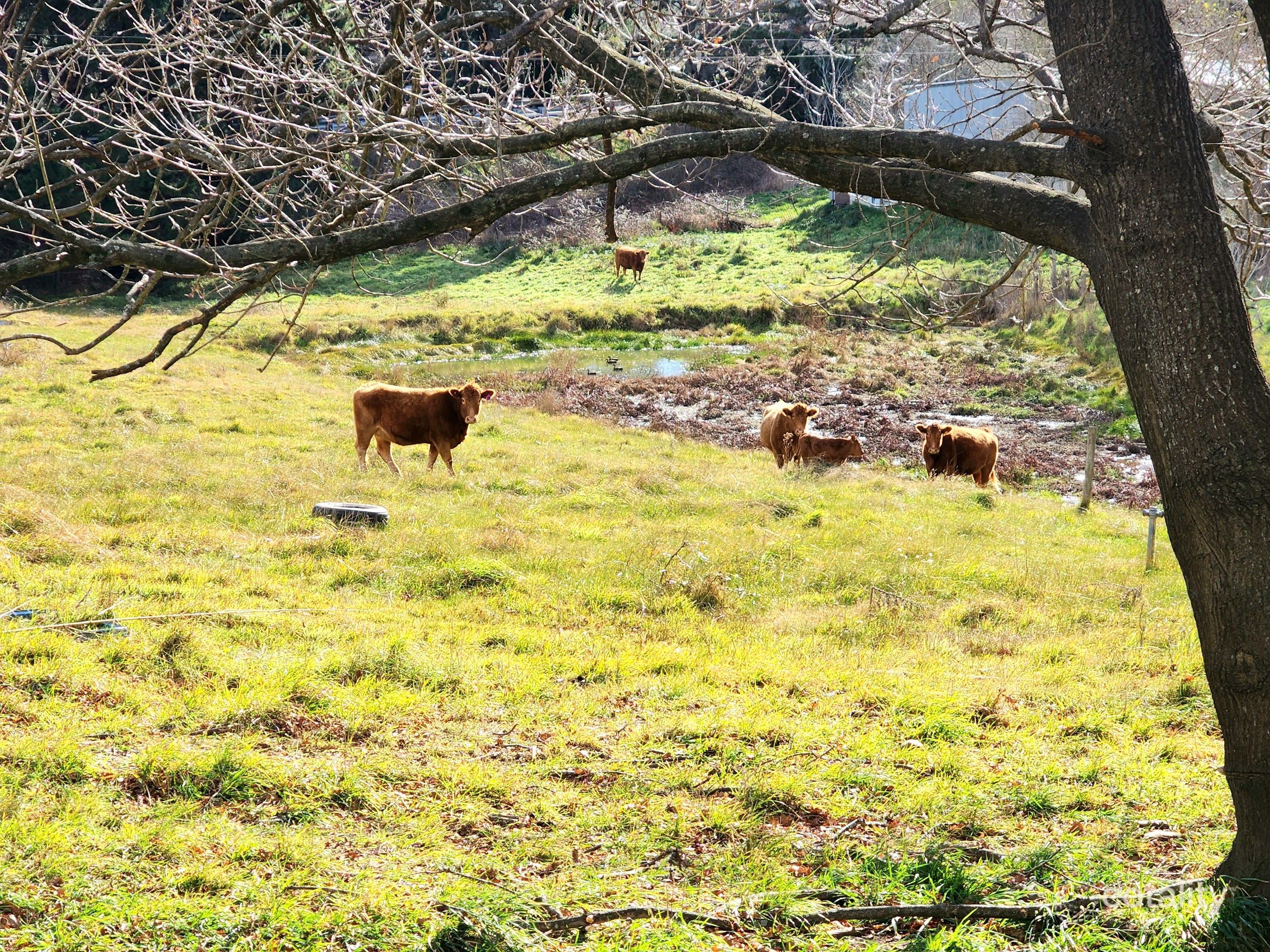 912 Kangaloon Rd, Glenquarry, NSW 2576