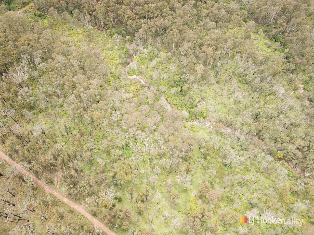 650 Yankees Gap Rd, Bemboka, NSW 2550