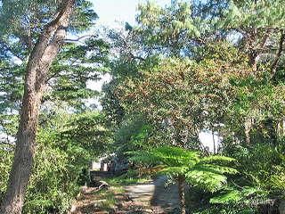 58 Starkey St, Forestville, NSW 2087