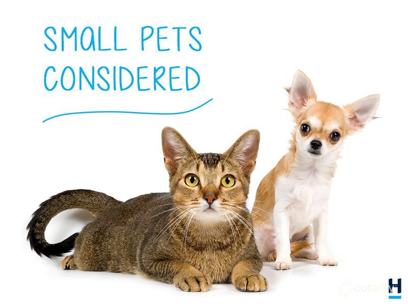 170 Inlet Bvd, South Yunderup, WA 6208