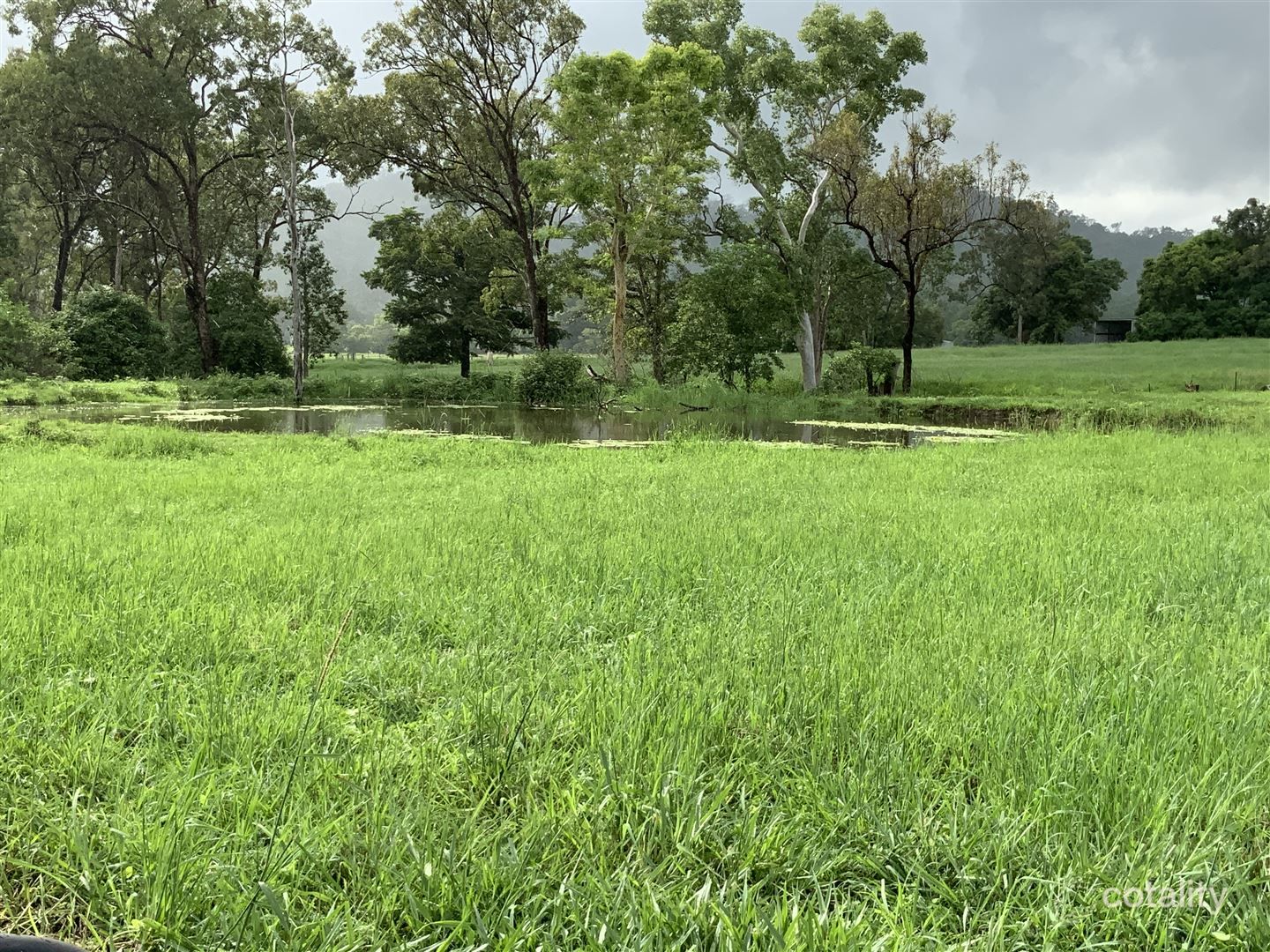 70 Sangiorgio Rd, Koumala, QLD 4738