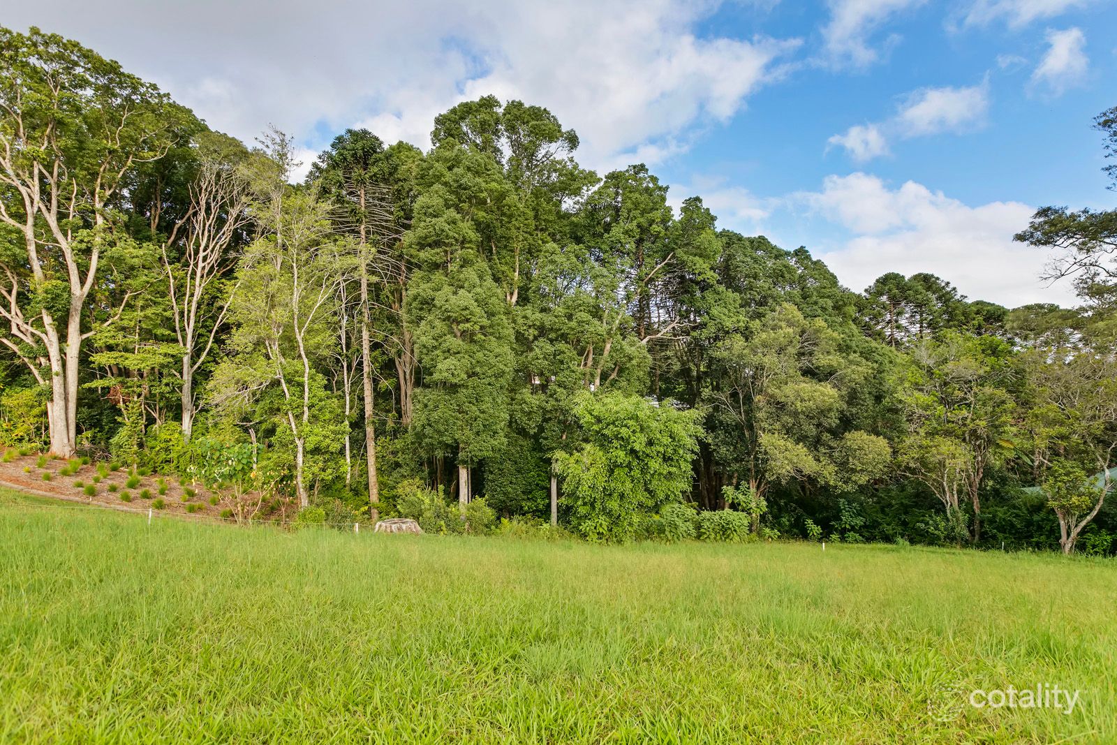 13 Hamptons Pl, Montville, QLD 4560