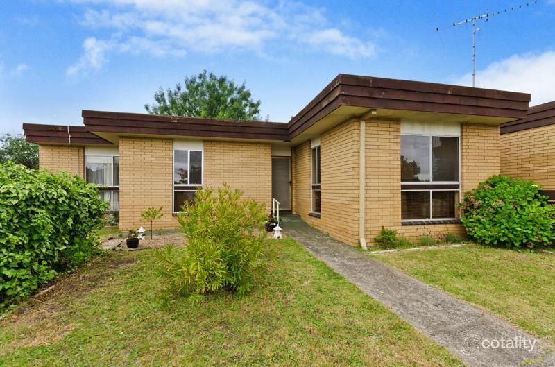 1/232 High St, Belmont, VIC 3216