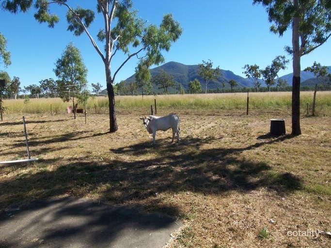 2434 Woodstock Giru Rd, Majors Creek, QLD 4816