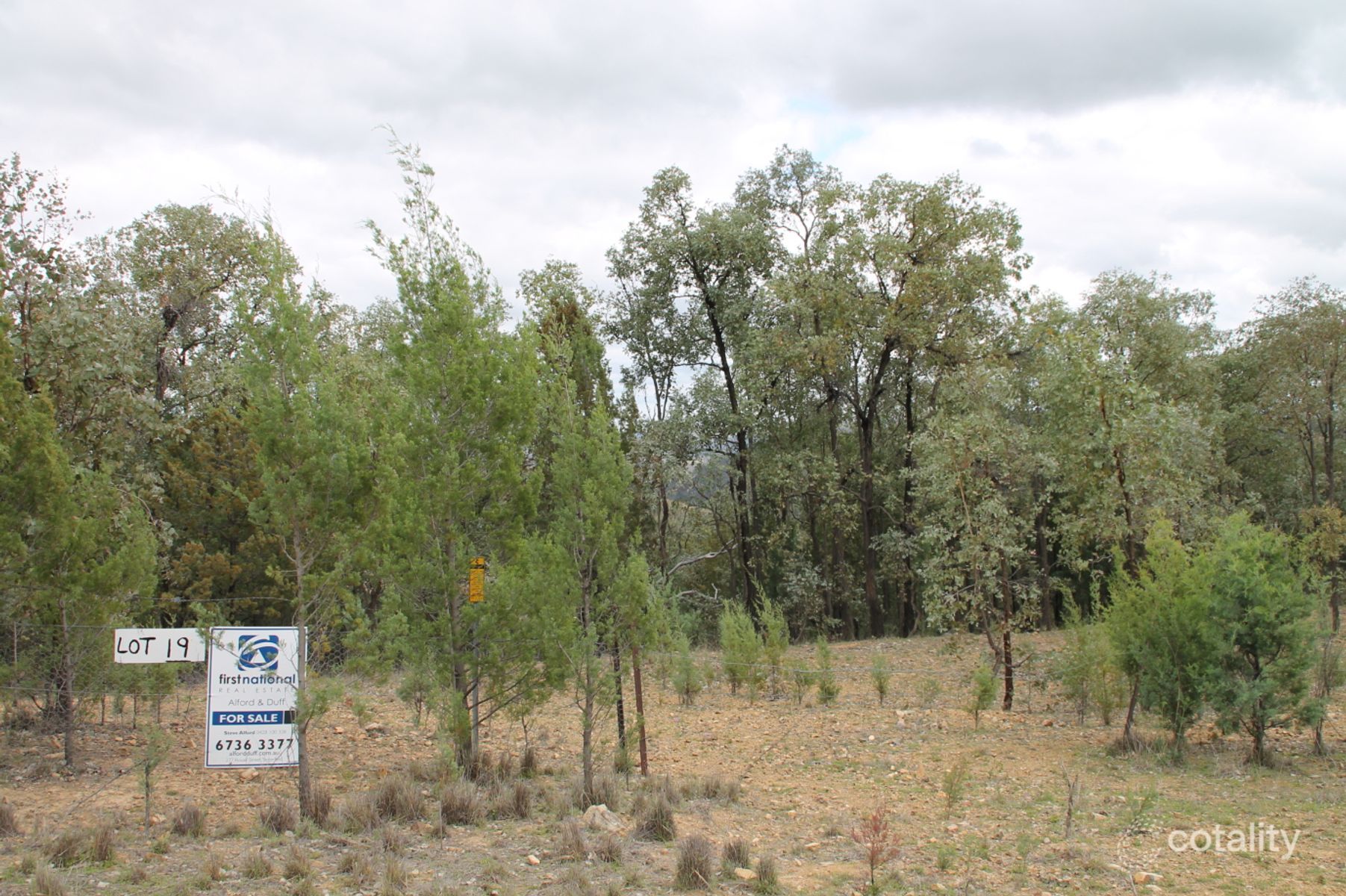 19 Mountain Creek Rd, Mole River, NSW 2372