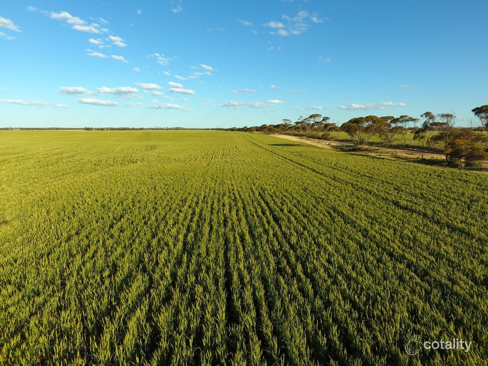 967 Sectus Tanks Rd, Barna, SA 5641