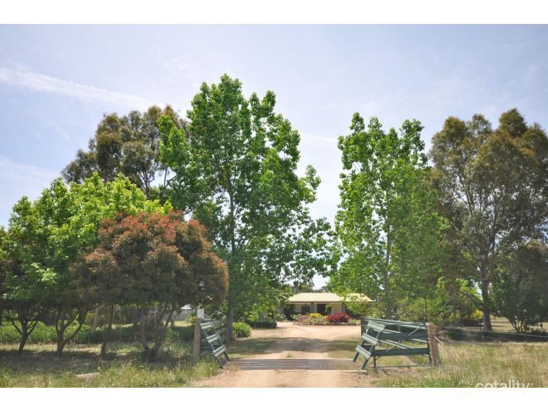 341 Dights Forest Rd, Jindera, NSW 2642