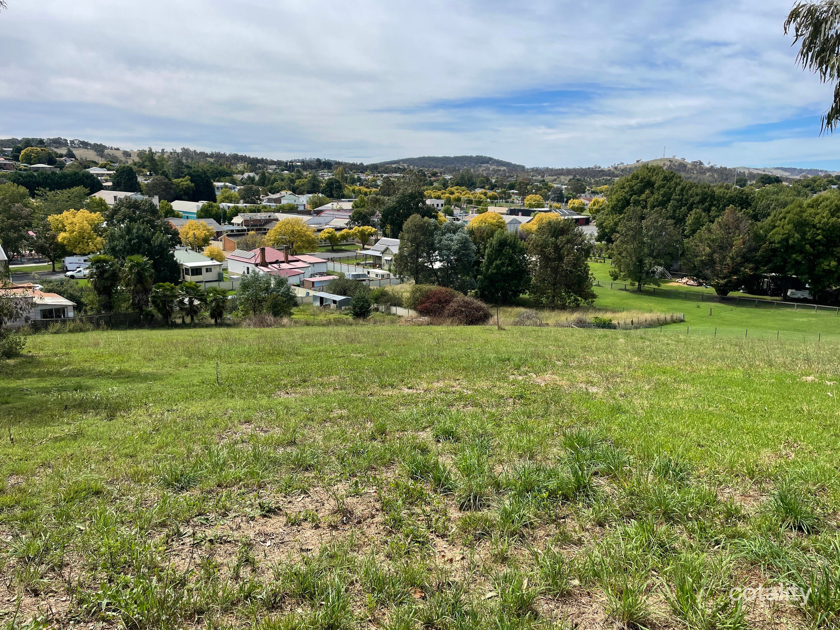 15s South St, Walcha, NSW 2354