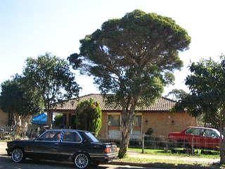 22 Sunny Pl, St Johns Park, NSW 2176