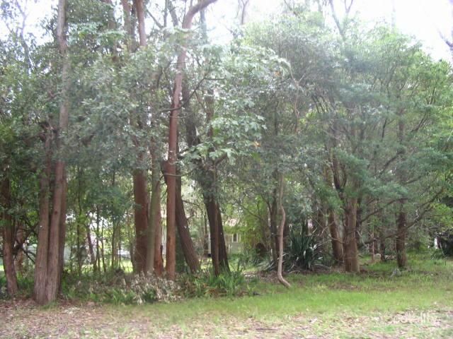 30r-40r Tecoma St, Goarra, NSW 2232