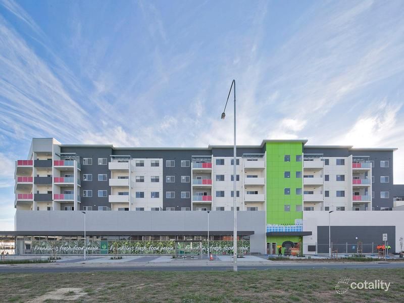46/241 Flemington Rd, Franklin, ACT 2913