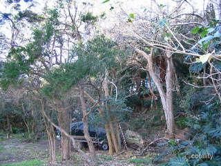 2 Nareen Pde, North Narrabeen, NSW 2101