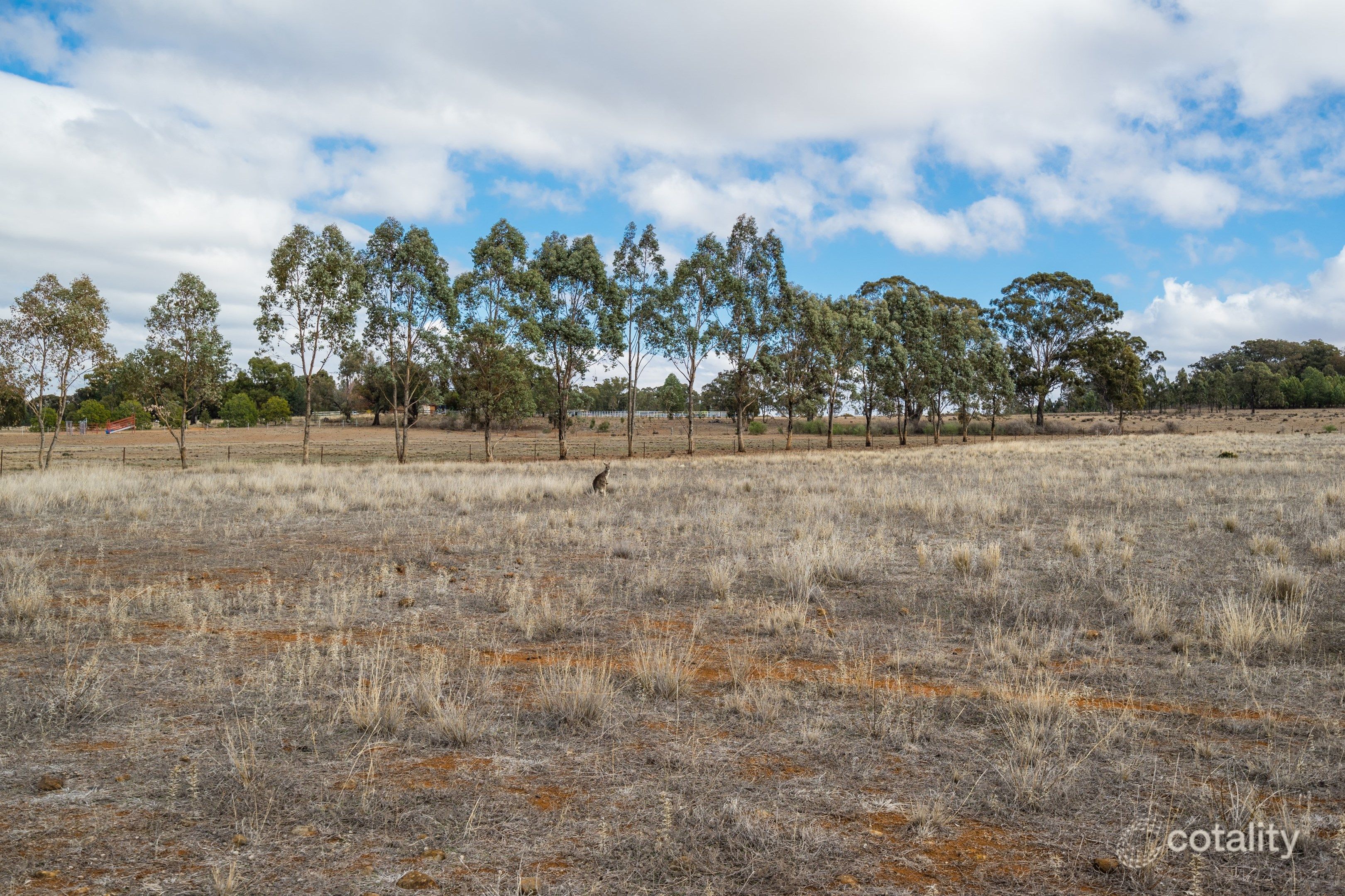 72l Burraway Rd, Terramungamine, NSW 2830