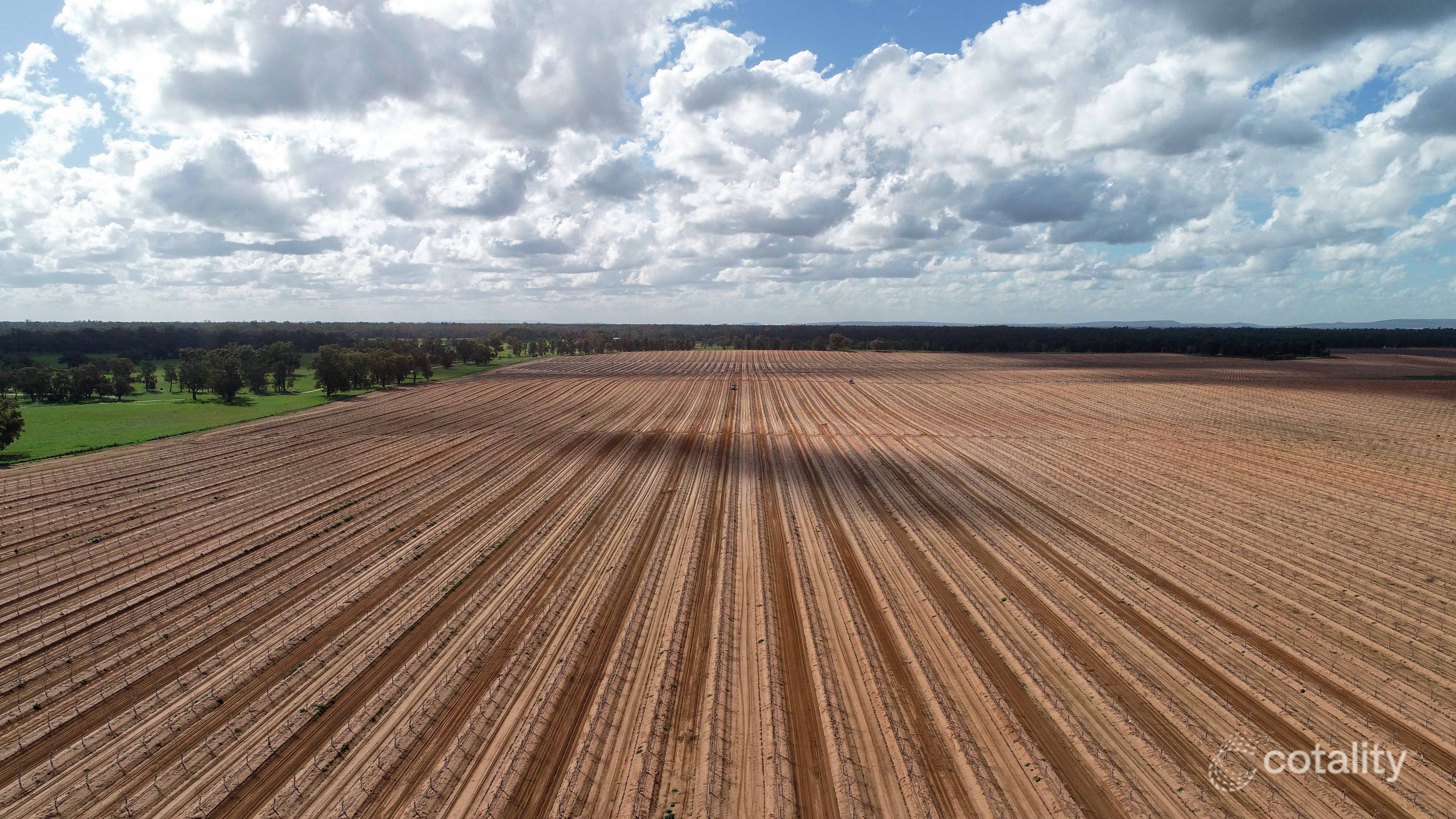 989 Euroley Rd, Euroley, NSW 2700