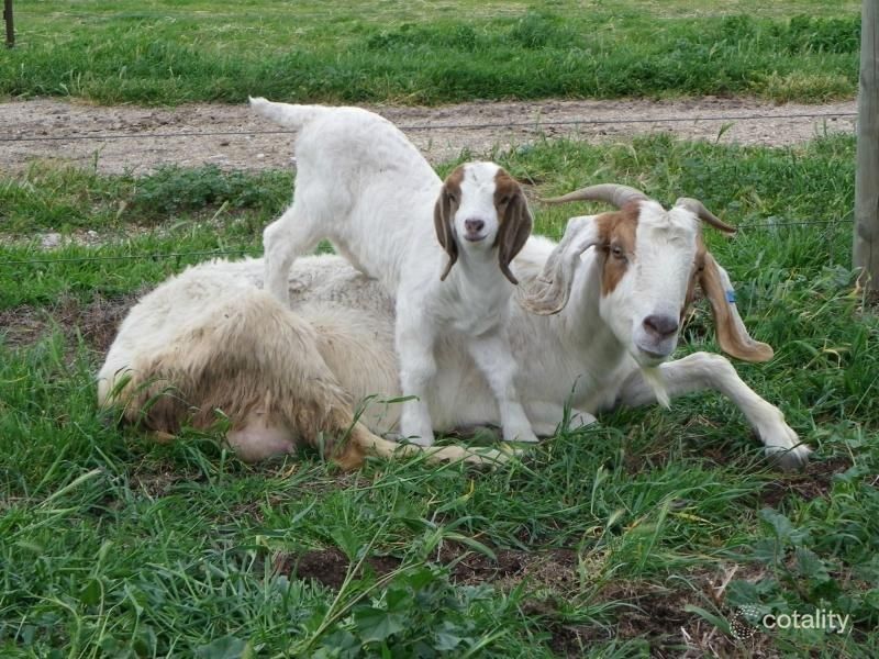 259 Kokoda Rd, Yarroweyah, VIC 3644