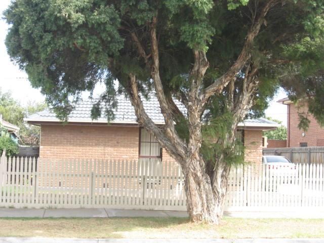 53 Belfort St, St Albans, VIC 3021