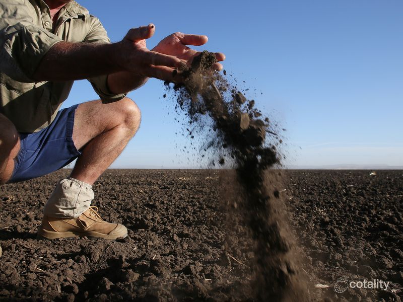 750 Goran Lake Rd, Spring Ridge, NSW 2343