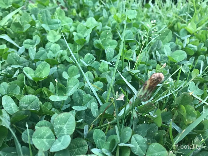 Lot 318 Bandicoot Cct, Longwarry, VIC 3816