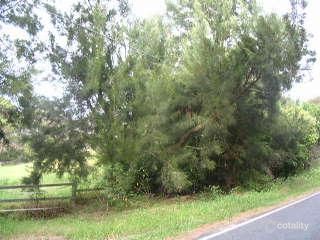 20 Cicada Glen Rd, Ingleside, NSW 2101