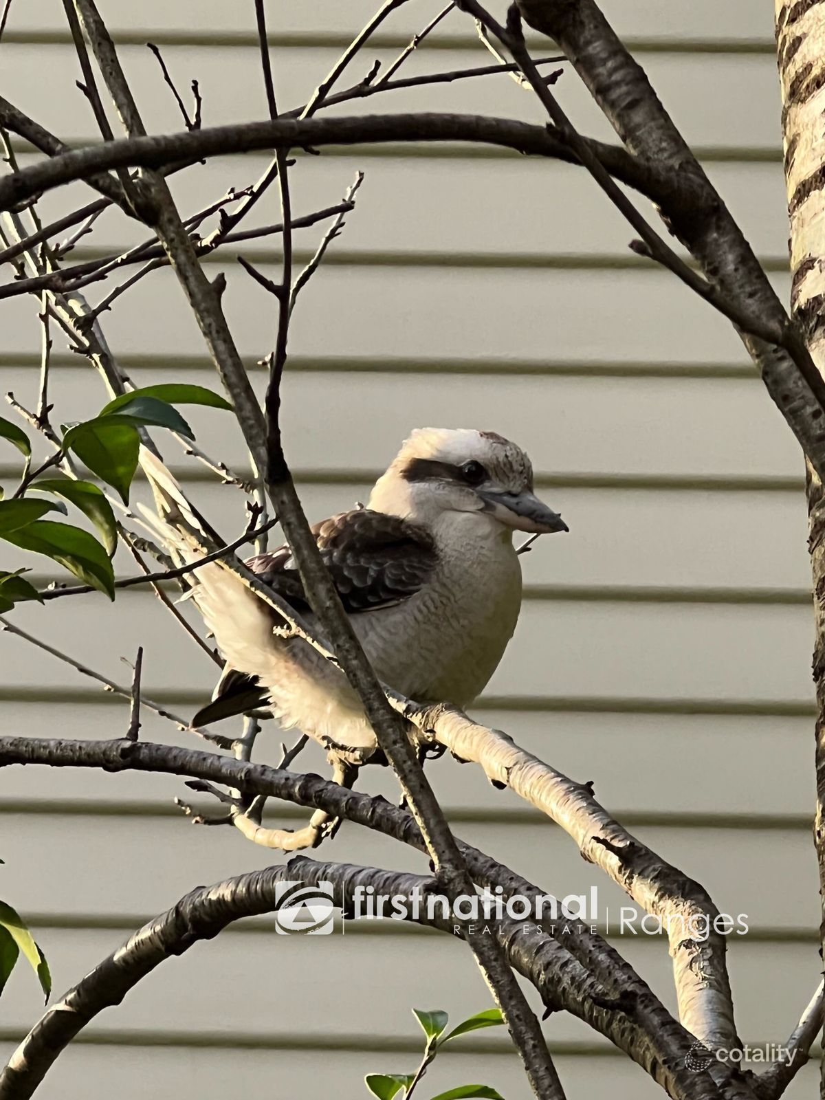 3 Belgrave-Gembrook Rd, Belgrave, VIC 3160