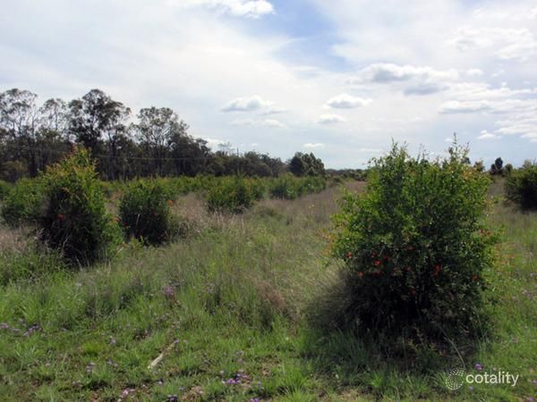 217 Mcphee Rd, Durong, QLD 4610