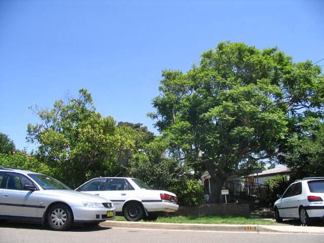 113 Attunga Rd, Yowie Bay, NSW 2228