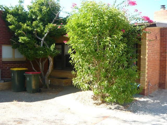 19 Gawler St, Nuriootpa, SA 5355