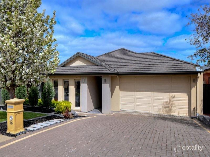 36 Rogerson Cct, Craigburn Farm, SA 5051