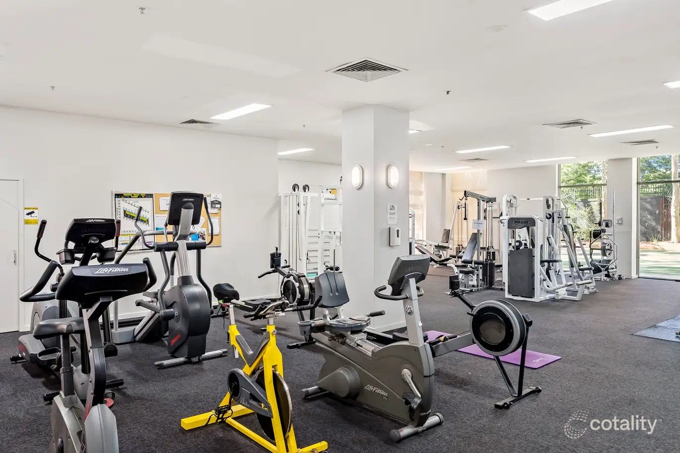 5609/570 Lygon St, Carlton, VIC 3053