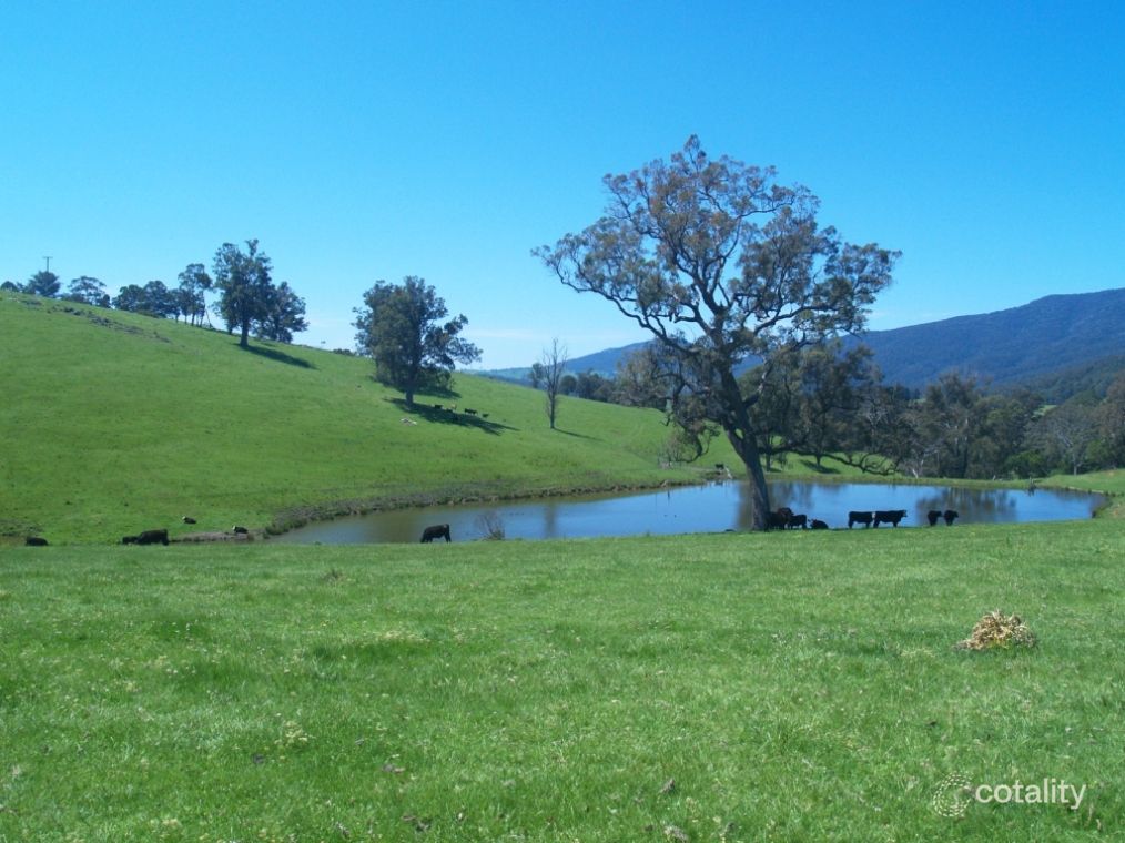 430 Warrigal Range Rd, Brogo, NSW 2550