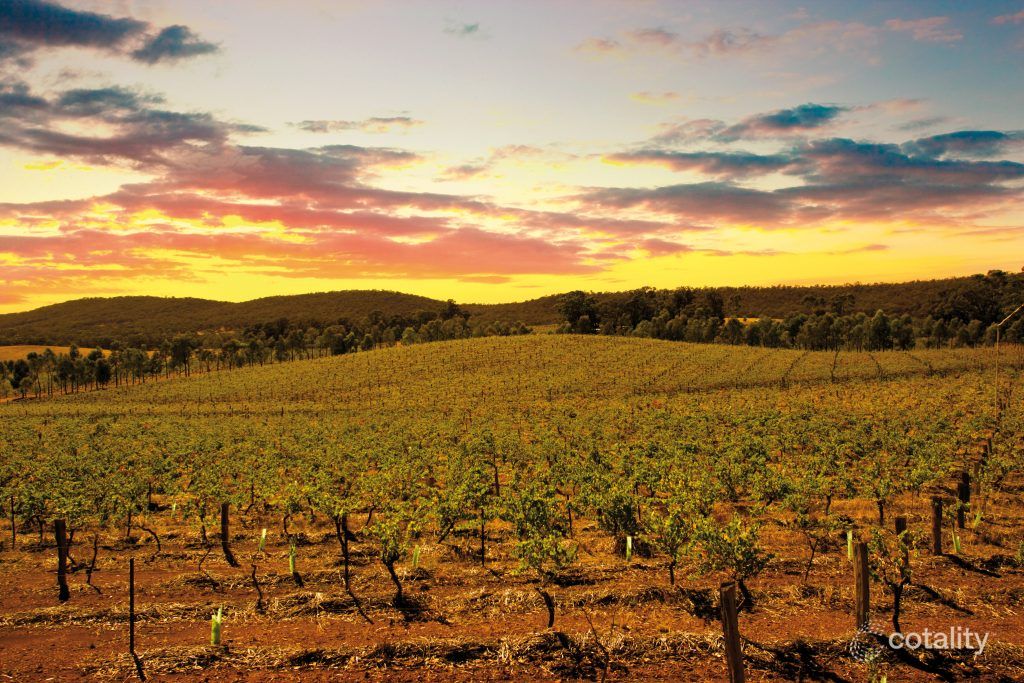 482 Shays Flat-Malakoff Rd, Landsborough, VIC 3384