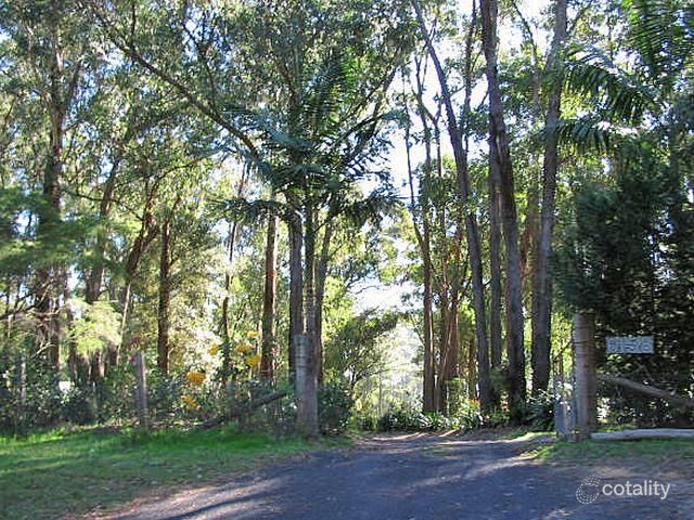 31 Toomeys Rd, Mount Elliot, NSW 2250