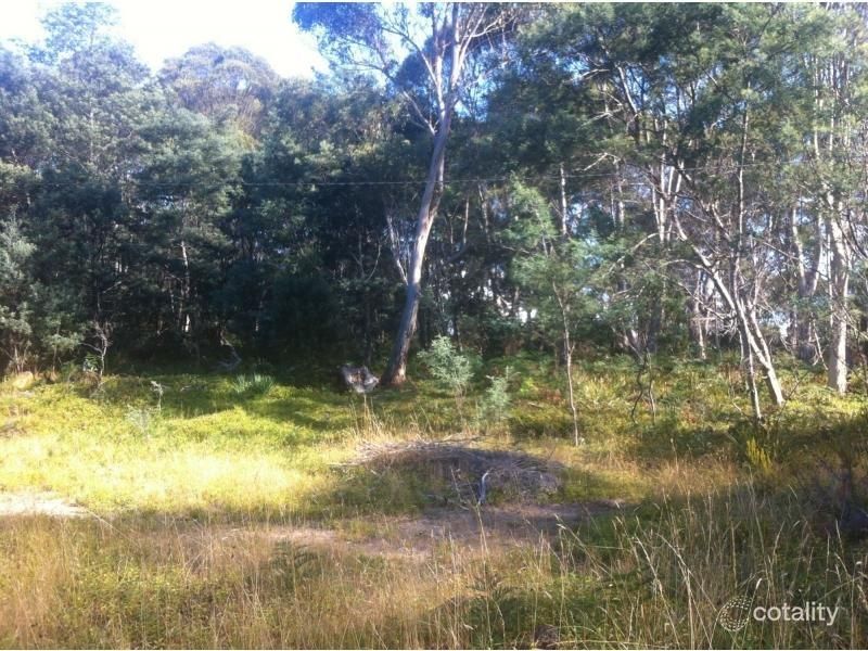 520 River Rd, Reedy Marsh, TAS 7304