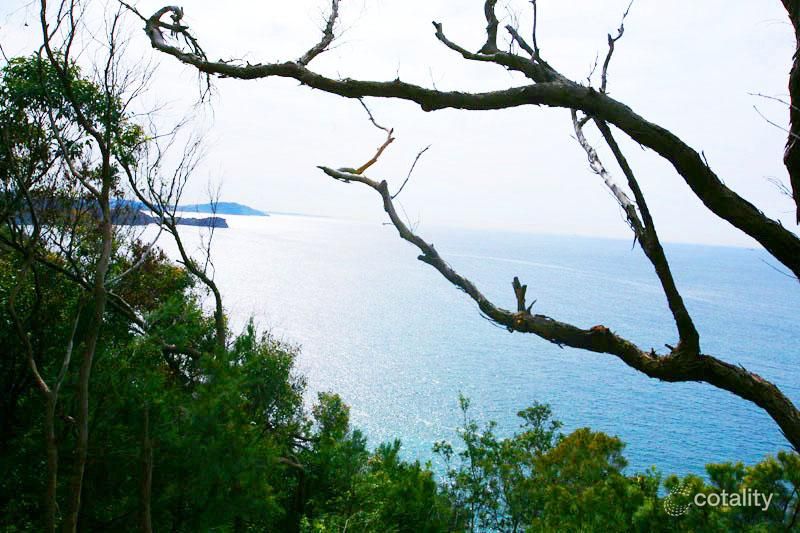 38 Endeavour Dr, Avoca Beach, NSW 2251