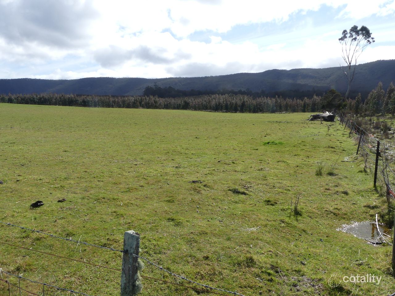 184 Mersey Hill Rd, Chudleigh, TAS 7304