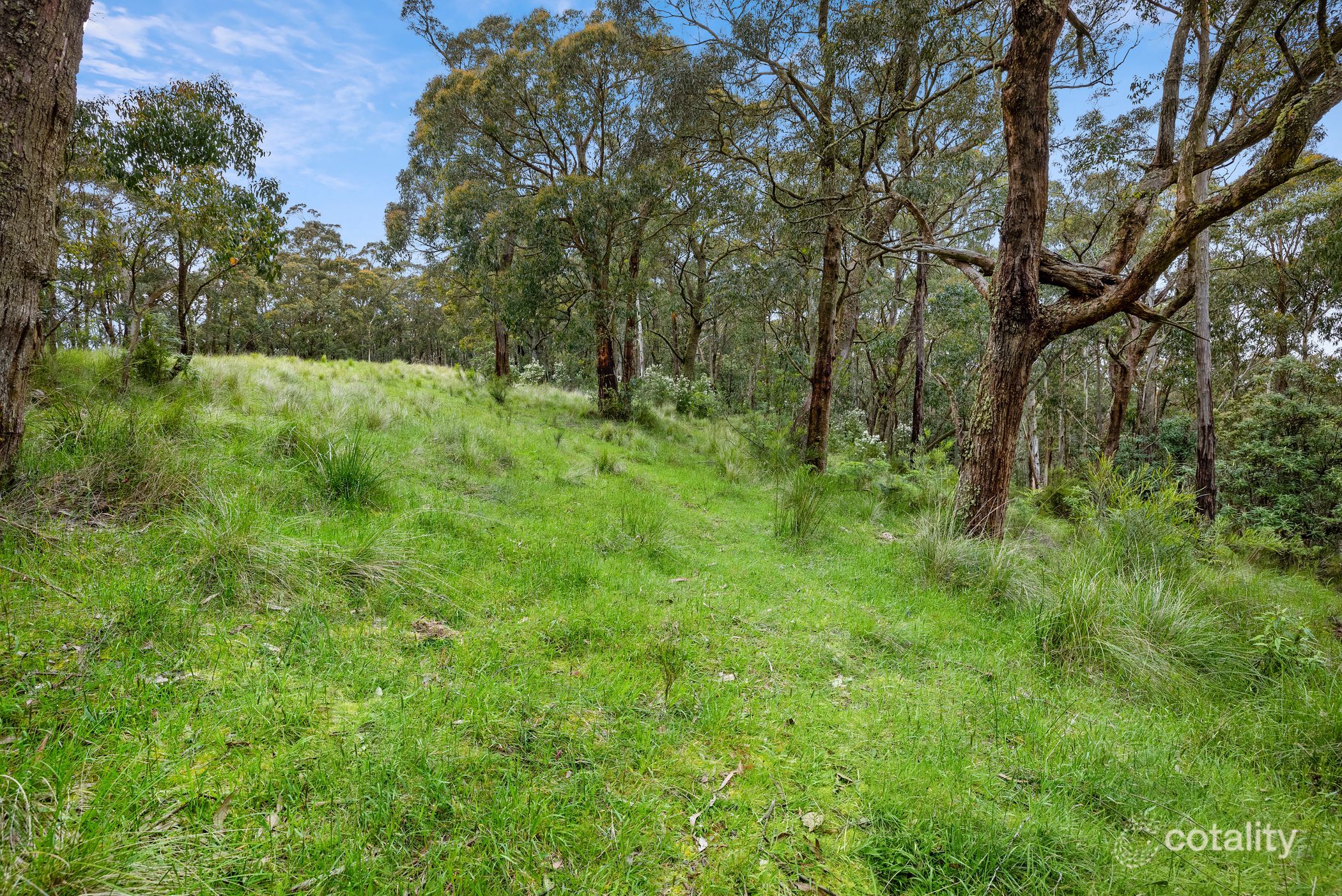 125 Marks Trk, Deans Marsh, VIC 3235