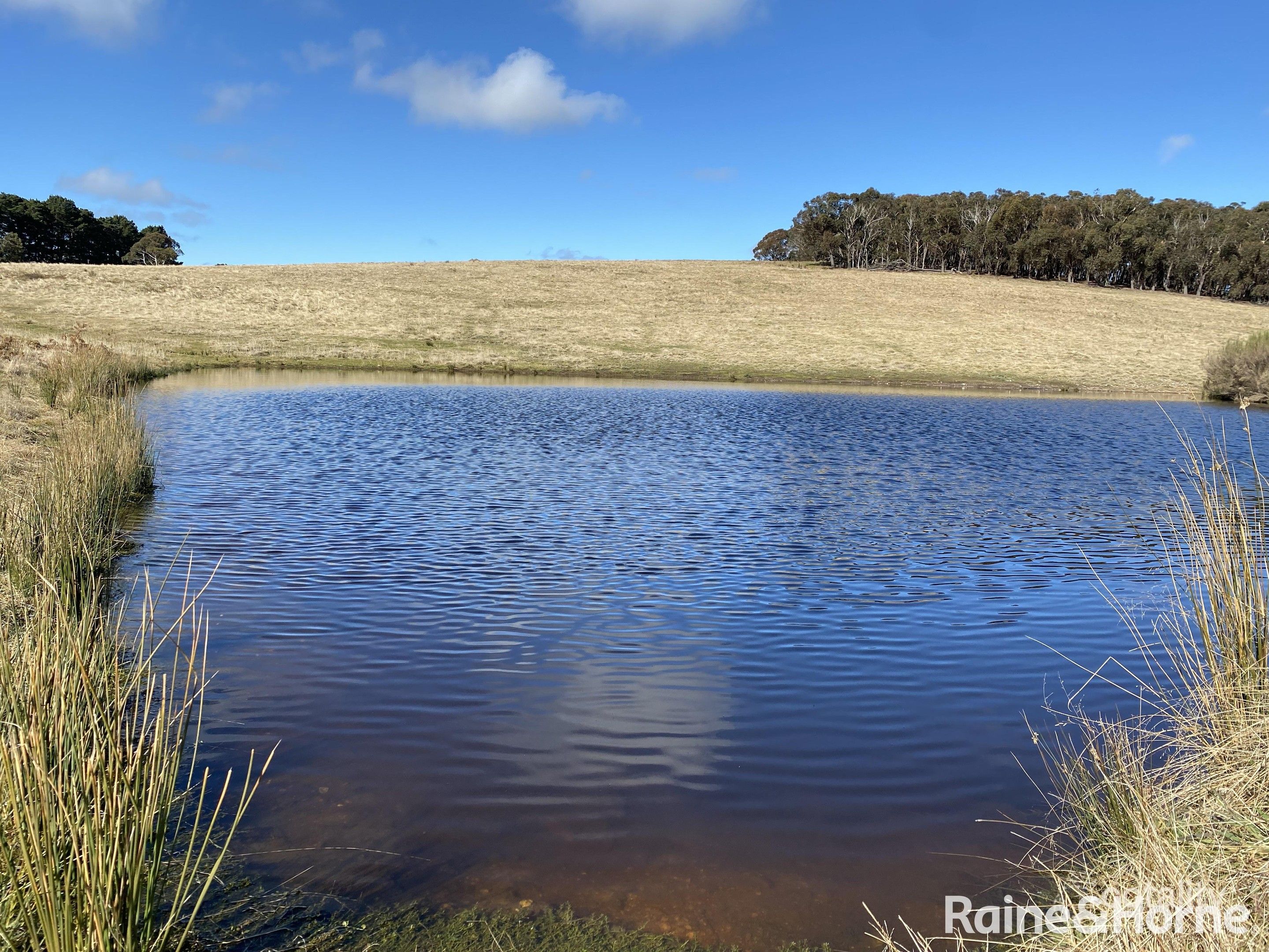 625 Mullins Creek Rd, Gurrundah, NSW 2581