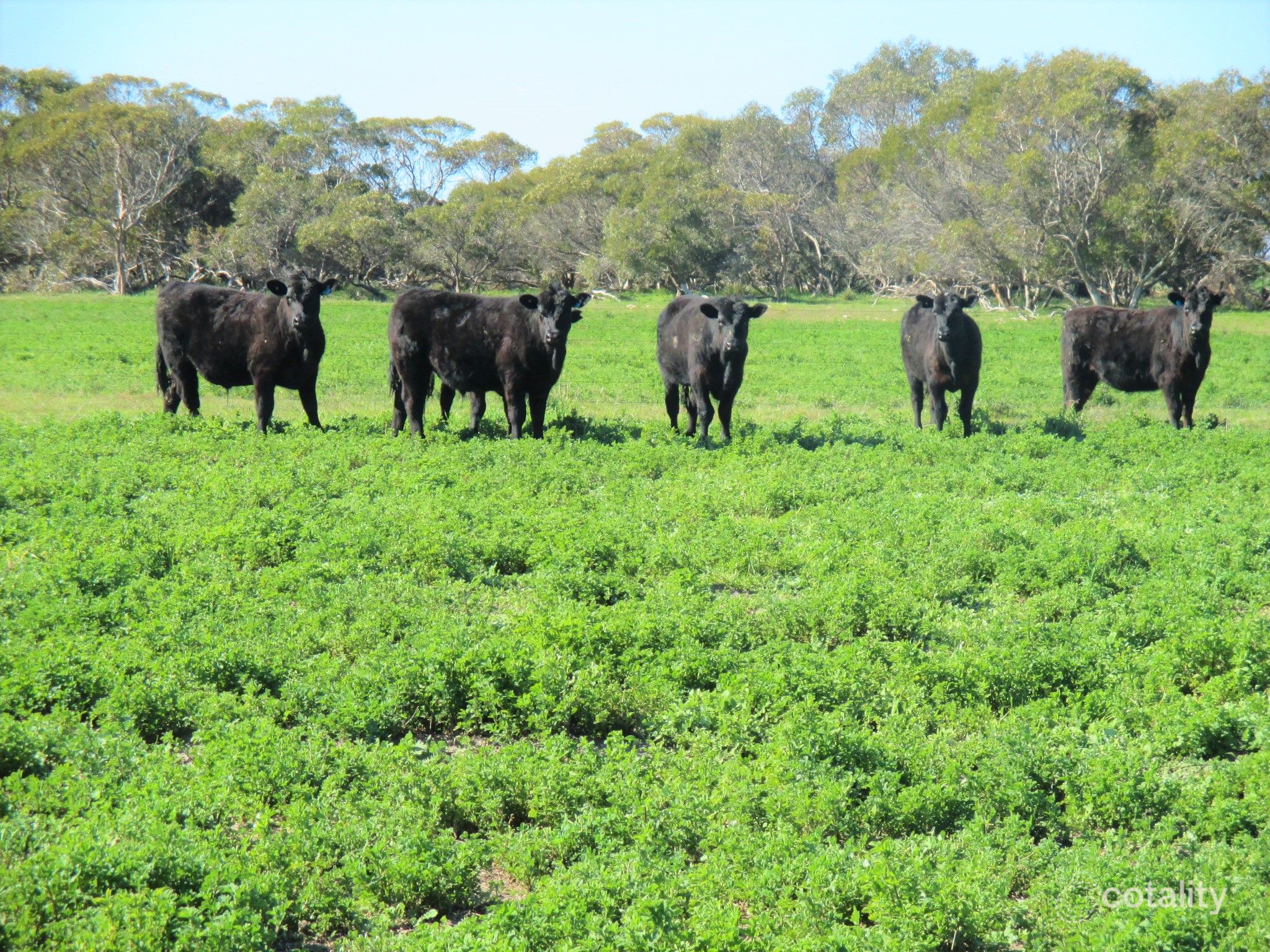 2791 Cold And Wet Rd, Field, SA 5265