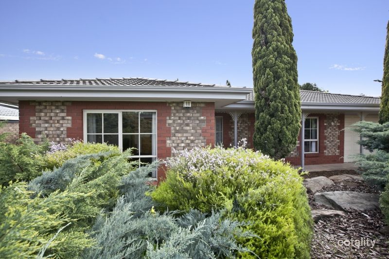 14 Zinfandel Ave, Wynn Vale, SA 5127