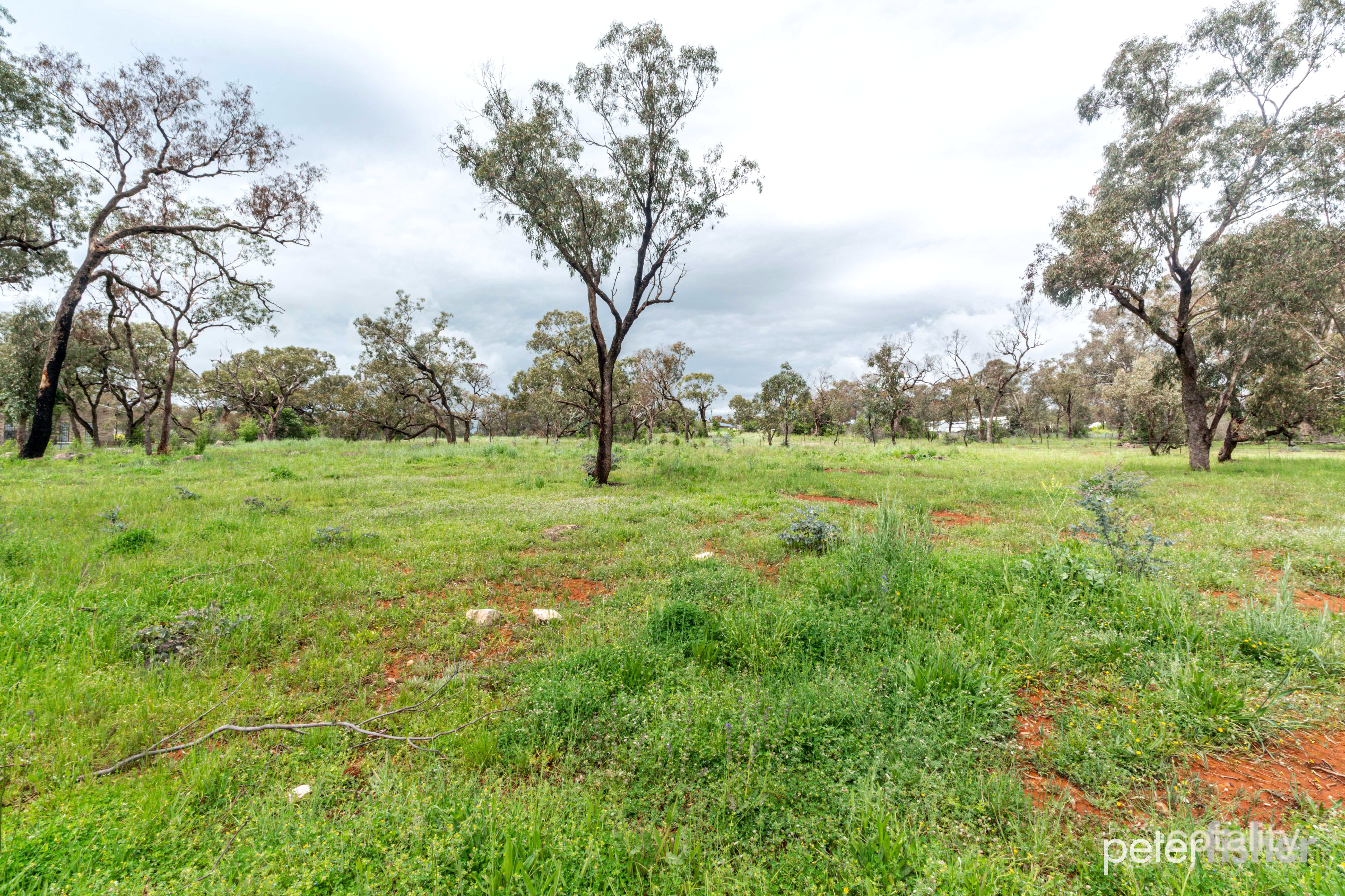 1554 Peabody Rd, Molong, NSW 2866