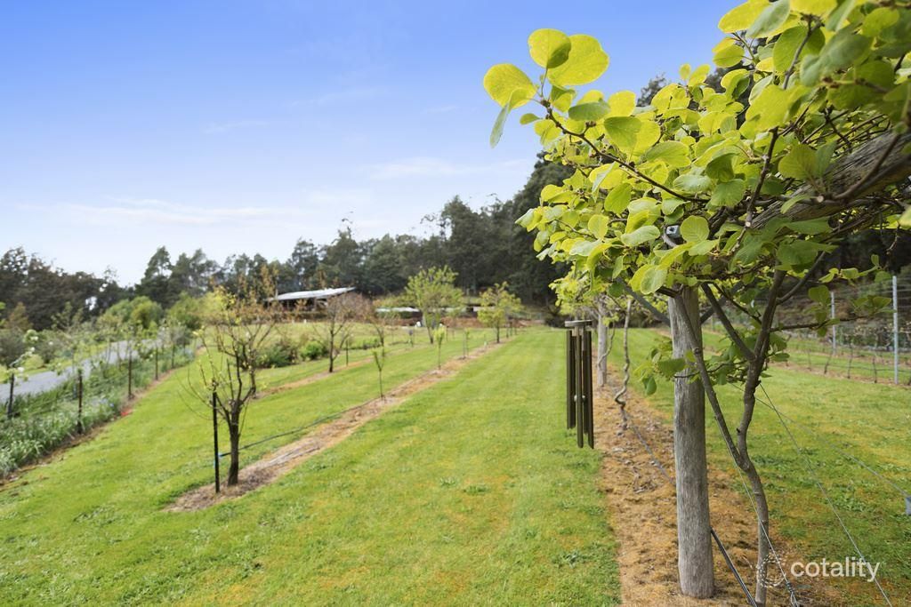 1010 Halls Track Rd, Pelverata, TAS 7150