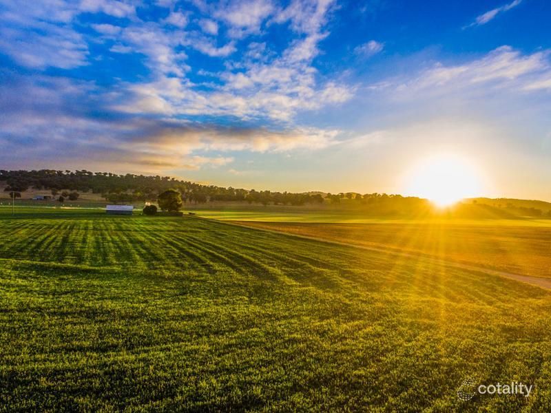 744 Wilbetree Rd, Wilbetree, NSW 2850