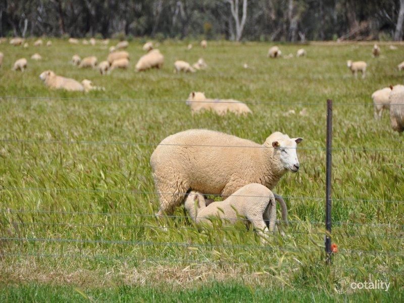 10 Hancocks Bridge Rd, Kotupna, VIC 3638