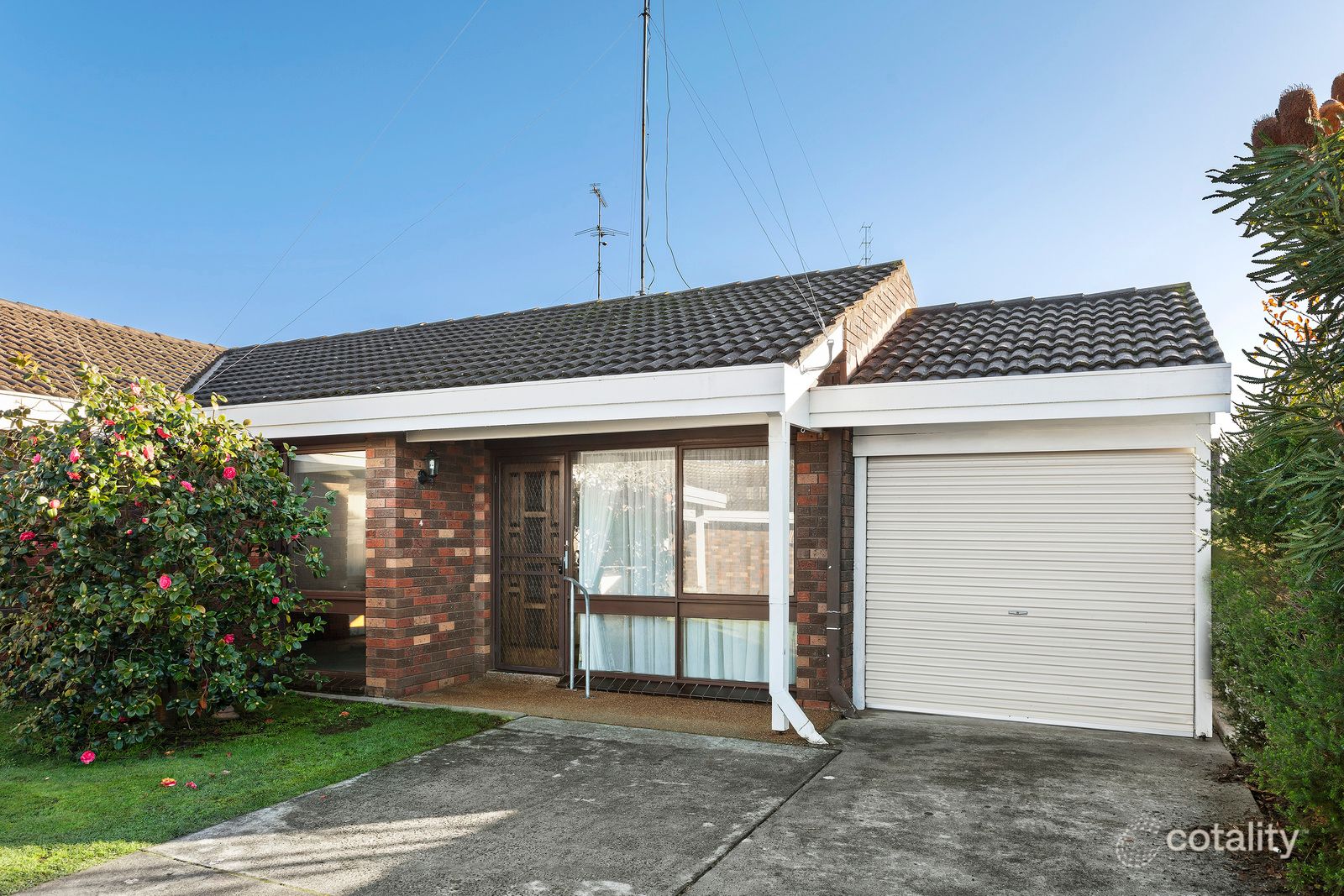 4/39 Manifold St, Colac, VIC 3250