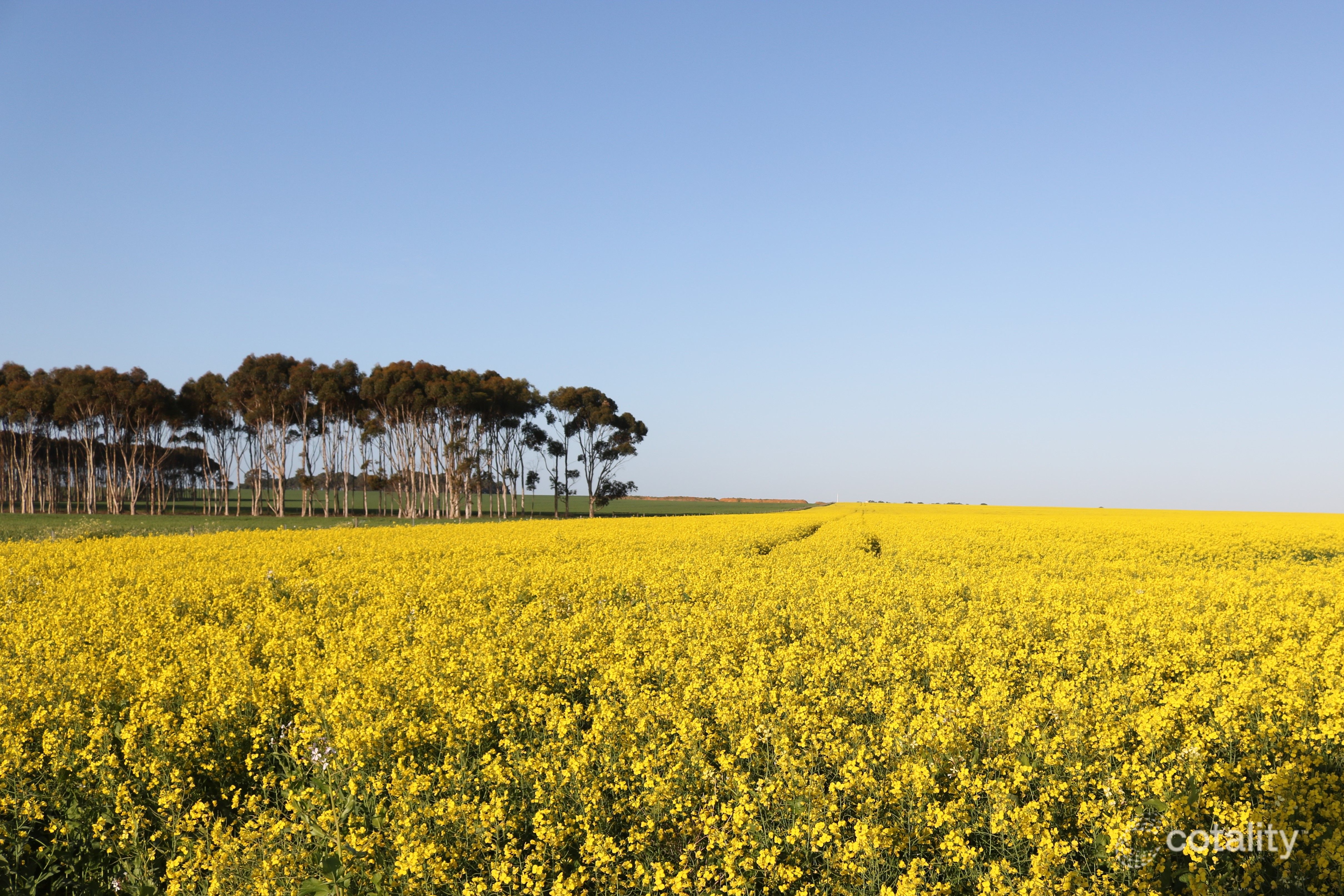 4714 South Coast Hwy, Coomalbidgup, WA 6450