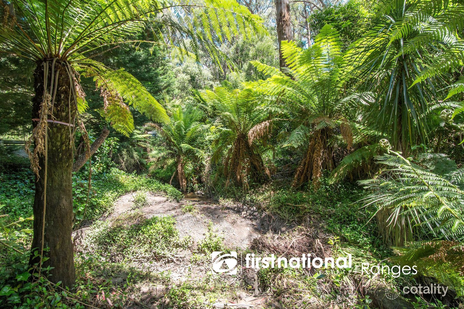 103 Belgrave-Gembrook Rd, Selby, VIC 3159