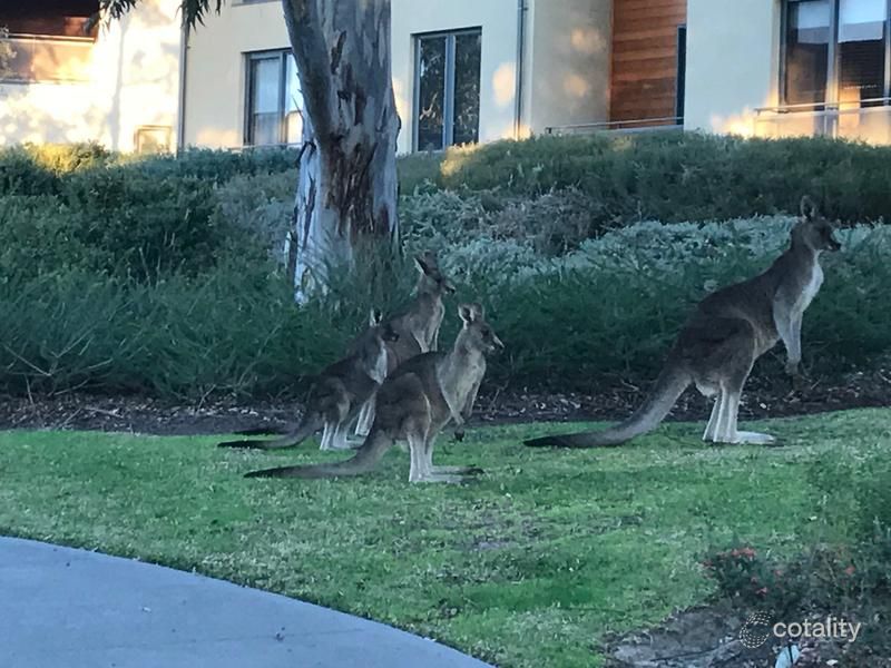 5 Henley Bridge Rd, Chirnside Park, VIC 3116